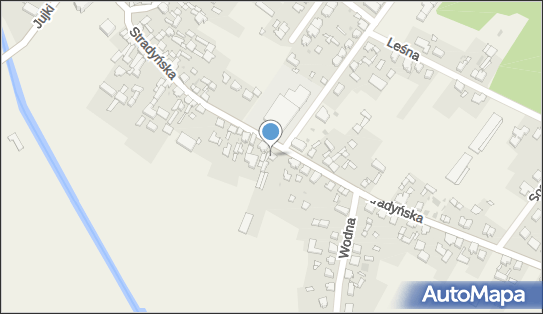 9231588699, Uprawa Grzybów Leszek Kwiatkowski, Kębłowo 