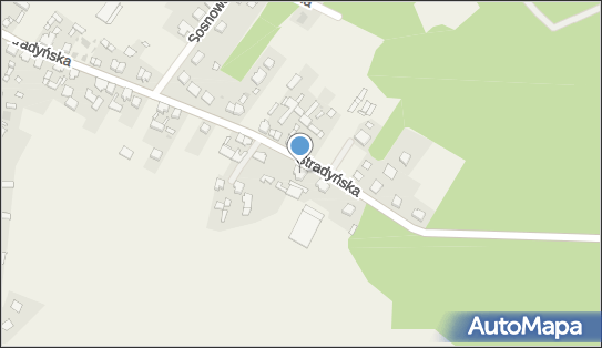 9231284189, Uprawa Grzybów Tadeusz Tomiak , Kębłowo 
