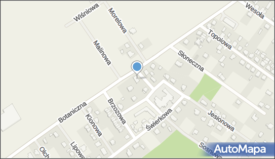 6981199670, Uprawa Warzyw Czesława Kasperska 