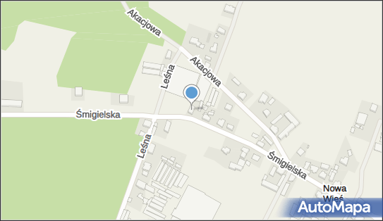 Uprawa Warzyw Danuta Gabryel, Śmigielska 72, Nowa Wieś 64-030 - Przedsiębiorstwo, Firma, NIP: 6981307013