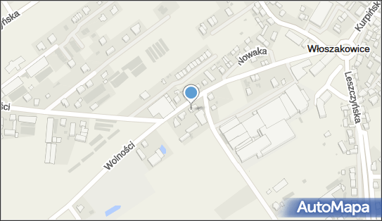 Uprawa Warzyw Józef Szczepaniak Włoszakowice, Wolności 11 64-140 - Przedsiębiorstwo, Firma, NIP: 6971695373