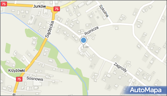 Uprawa Warzyw Krupa Sylwester, Jurków 107, Jurków 32-860 - Przedsiębiorstwo, Firma, numer telefonu, NIP: 8691745964