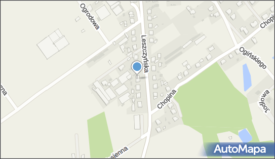 Uprawa Warzyw Ludwika Krawczyk Włoszakowice, Leszczyńska 28 64-140 - Przedsiębiorstwo, Firma, NIP: 6971785308