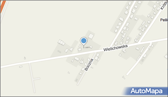 Uprawa Warzyw Roman Woźniczak Pelikan, ul. Wielichowska 104 64-000 - Przedsiębiorstwo, Firma, NIP: 6981030758