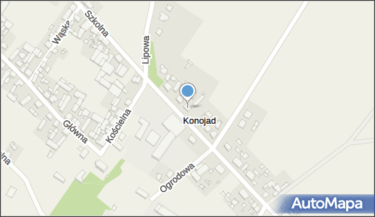 Uprawa Warzyw Ryszard Maciejak Konojad, ul. Szkolna 18, Konojad 64-060 - Przedsiębiorstwo, Firma, NIP: 7881386887