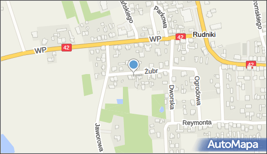 Uprawa Warzyw Zygmunt Polak, ul. Joanny Żubr 10, Rudniki 46-325 - Przedsiębiorstwo, Firma, NIP: 5761114961