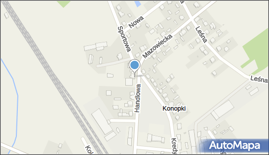 130956545, Punkt Apteczny Urszula Czaplicka 