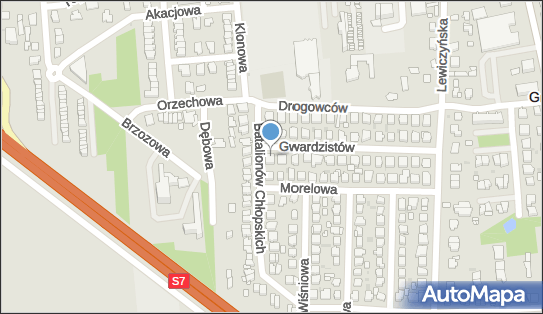 7971254416, Kot Urszula 