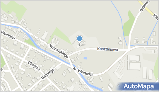 6112343493, Usługi Drzewne 