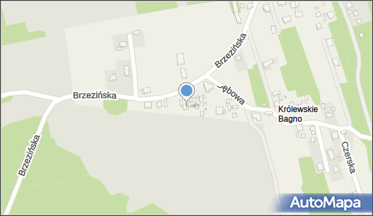 9521110894, Hanna Całun Usługi Biurowe 