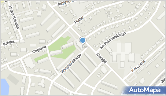 9560017466, Usługi Controllingowo-Informatyczne 