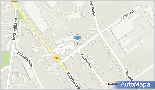 Usługi Dla Radia, Klonowa 3, Gniezno 62-200 - Przedsiębiorstwo, Firma, NIP: 7842017536