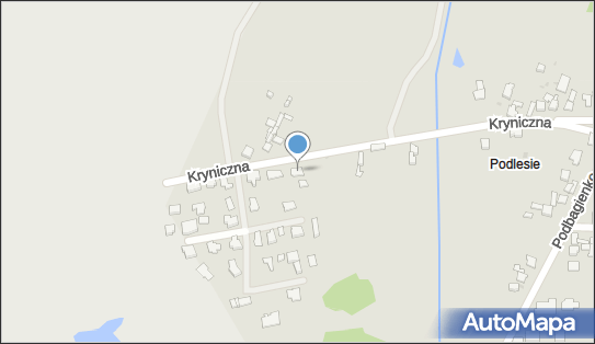 Usługi Ekonomiczne, ul. Kryniczna 28, Dąbrowa Górnicza 42-520 - Przedsiębiorstwo, Firma, numer telefonu, NIP: 6291367894