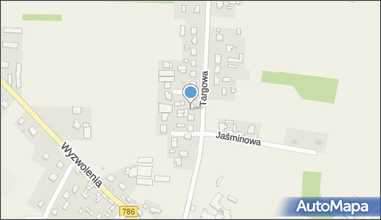 Usługi Finasowe Maximo, ul. Targowa 15, Wancerzów 42-244 - Przedsiębiorstwo, Firma, NIP: 9491525023
