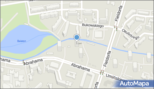1132147338, Come And Smile Olga Majrowska 
