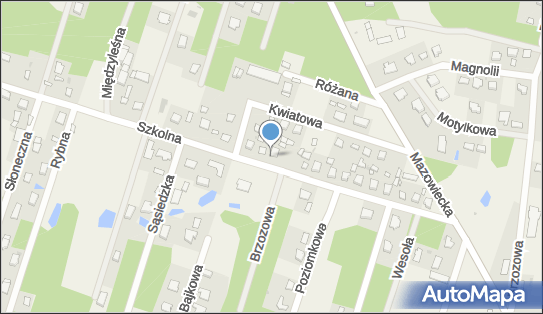 8381450200, Usługi Geodezyjne 