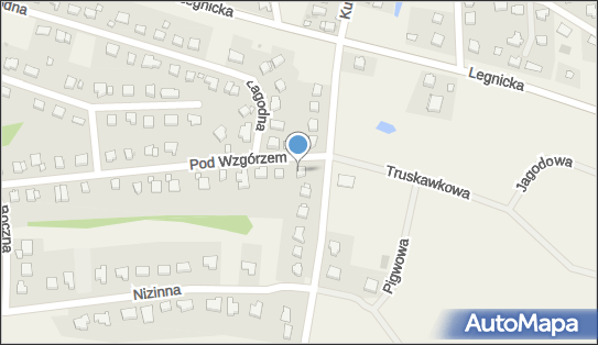 Usługi Geodezyjne Wojciech Tylka, ul. Pod Wzgórzem 1, Ziemnice 59-216 - Przedsiębiorstwo, Firma, NIP: 6921037194