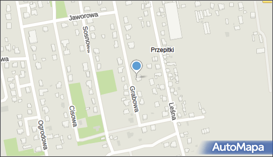 Usługi Geodezyjne, Grabowa 21, Nasielsk 05-190 - Przedsiębiorstwo, Firma, NIP: 5311499808