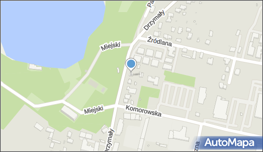 411139085, Usługi Handlowe Krzysztof Daleki, Wolsztyn 