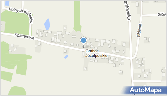 Usługi Instalacyjno Budowlane, ul. Spacerowa 20 96-320 - Przedsiębiorstwo, Firma, numer telefonu, NIP: 8381206782