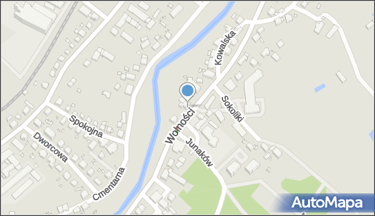 Usługi Kominiarskie, Wolności 212, Jelenia Góra 58-560 - Przedsiębiorstwo, Firma, NIP: 6111629738
