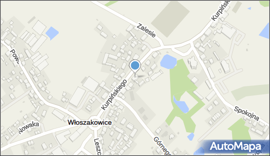 Usługi Kucharsko Kelnerskie Arka Włoszakowice, Włoszakowice 64-140 - Przedsiębiorstwo, Firma, NIP: 6971982351