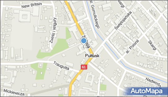 130424765, Usługi Lekarskie, Pawluk Teodor 
