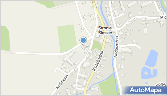 Usługi Leśne i Transportowe Marek Sienkiewicz, Strachocin 5 57-550 - Przedsiębiorstwo, Firma, NIP: 8811060307