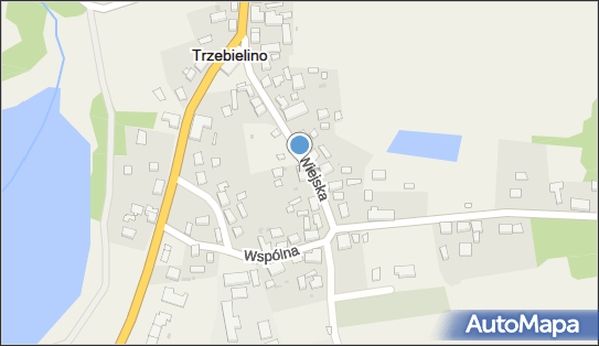 Usługi Leśne, Trzebielino 75, Trzebielino 77-235 - Przedsiębiorstwo, Firma, NIP: 8421570064