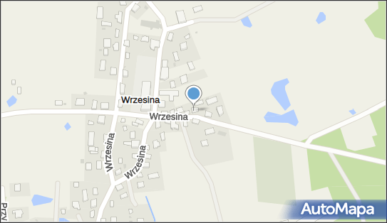 Usługi Leśne, Wrzesina 20, Wrzesina 11-042 - Przedsiębiorstwo, Firma, NIP: 7393121045