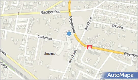 Usługi Medycyny Szkolnej Alina Burzyńska Ogoń, Rybnik 44-200 - Przedsiębiorstwo, Firma, numer telefonu, NIP: 6421073755