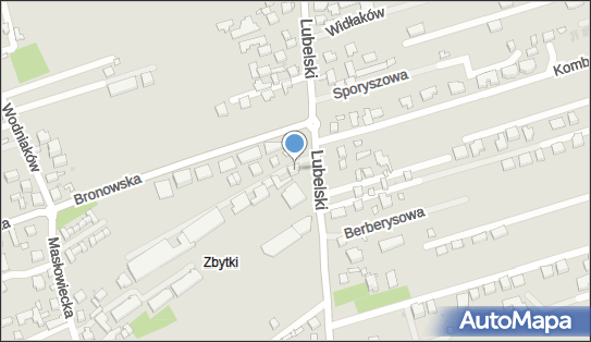 9521668136, Usługi Motoryzacyjne Basiewicz Hanna, Wiktorski Roman 