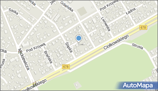 5421892168, Usługi Muzyczne Zespół 
