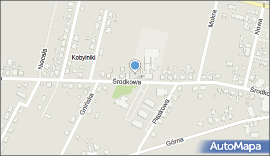 Usługi Na Rzecz Przedsiębiorstw i Osób Prywatnych Grodzisk Wielkopolski 62-065 - Przedsiębiorstwo, Firma, NIP: 9950081845