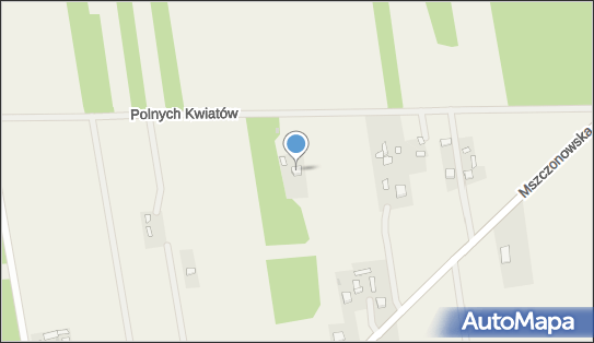 Usługi Ogólnobudowlane - Tomasz Michalczyk, Polnych Kwiatów 25 96-321 - Przedsiębiorstwo, Firma, NIP: 8381324062
