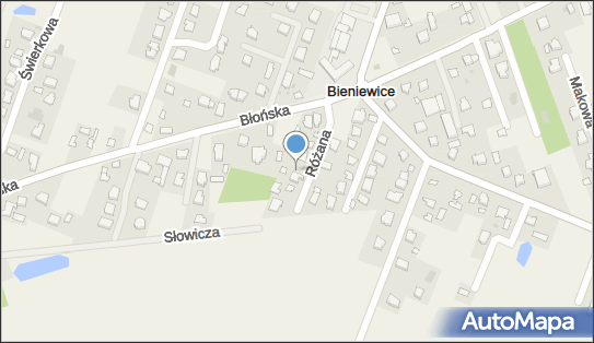 Usługi Pielęgniarskie, Różana 4, Bieniewice 05-870 - Przedsiębiorstwo, Firma, numer telefonu, NIP: 5291227075