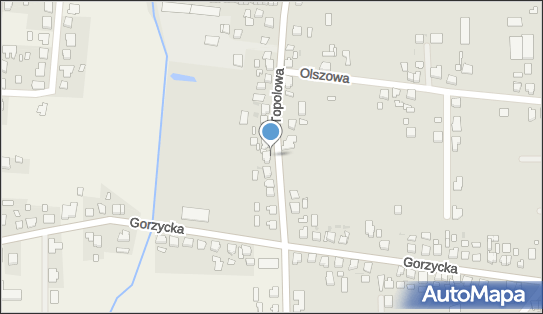 Usługi Pielęgniarskie, Topolowa 172, Ostrów Wielkopolski 63-400 - Przedsiębiorstwo, Firma, NIP: 6171552790