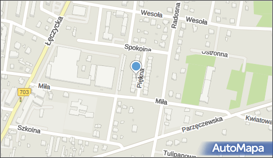 Usługi Podnośnikiem Koszowym 24m,Wynajem/drzewa,/dachy/Elewacja 99-200 - Przedsiębiorstwo, Firma, numer telefonu