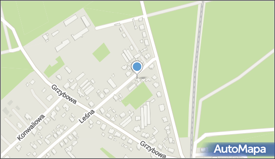 Usługi Porządkowe, Leśna 64, Wągrowiec 62-100 - Przedsiębiorstwo, Firma, NIP: 7661889333