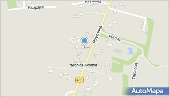 Usługi Pralnicze, Rzymska 67-69, Kalisz 62-800 - Przedsiębiorstwo, Firma, NIP: 6181821091