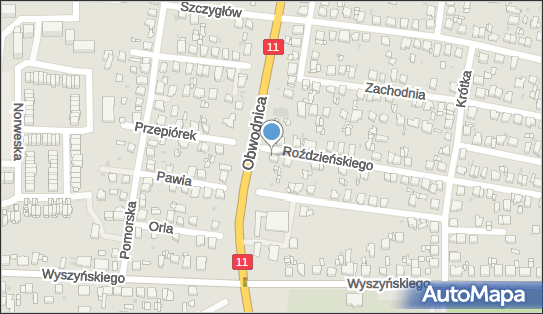 Usługi Projektowe, ul. Walentego Roździeńskiego 65 42-600 - Przedsiębiorstwo, Firma, numer telefonu, NIP: 6451572339