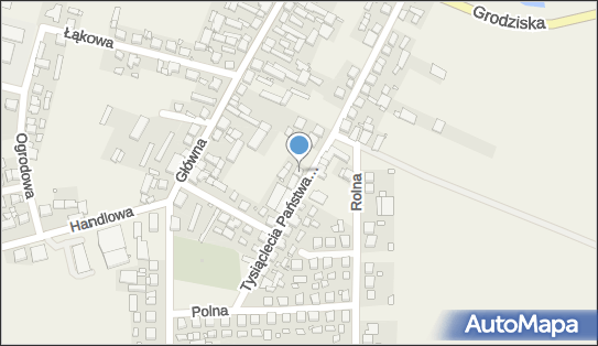 Usługi Prowadzenia Pojazdów Samochodowych, Kamieniec 64-061 - Przedsiębiorstwo, Firma, NIP: 7881217541