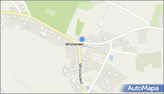 6721981681, Usługi Przewozowe 