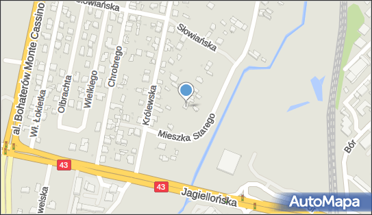 Usługi Przewozowe, Mieszka Starego 52, Częstochowa 42-202 - Przedsiębiorstwo, Firma, NIP: 5731604637