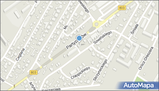 Usługi Radiologiczne, ul. Partyzantów 39, Siedlce 08-110 - Przedsiębiorstwo, Firma, NIP: 8211461162