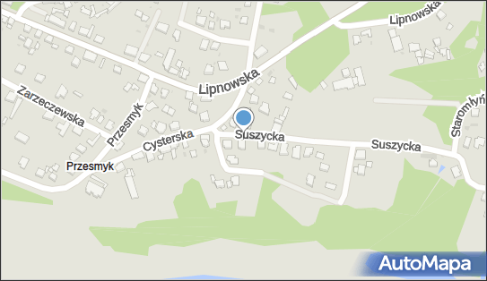 Usługi Transportowe Handel Obwoźny Art Spoż i Przem, Suszycka 4 87-800 - Przedsiębiorstwo, Firma, NIP: 8881817744