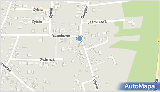 Usługi Transportowe Jolanta Kędziora, ul. Gołębia 34 62-040 - Przedsiębiorstwo, Firma, NIP: 7791223868