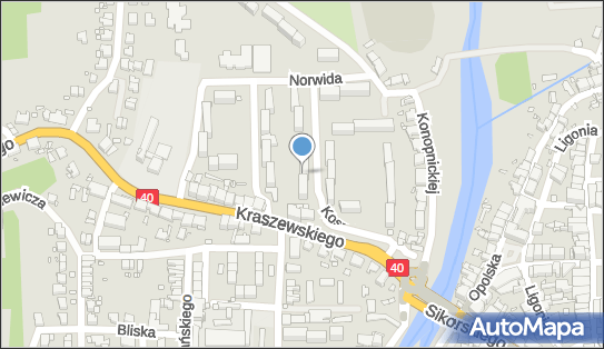 Usługi Transportowe Julian Sajda, ul. Szymona Koszyka 19 48-340 - Przedsiębiorstwo, Firma, NIP: 6281852435