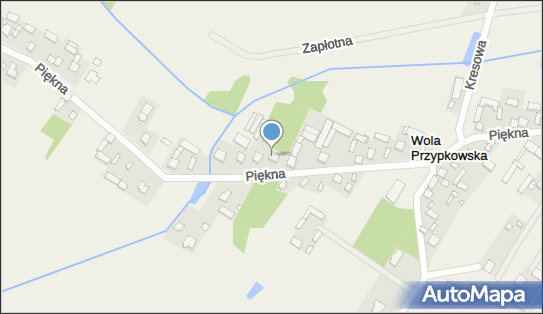 Usługi Transportowe Kowalska Zofia Hoffmann Andrzej, Piękna 48 05-555 - Przedsiębiorstwo, Firma, numer telefonu, NIP: 5221023769