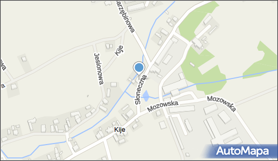 9730889798, Usługi Transportowe 